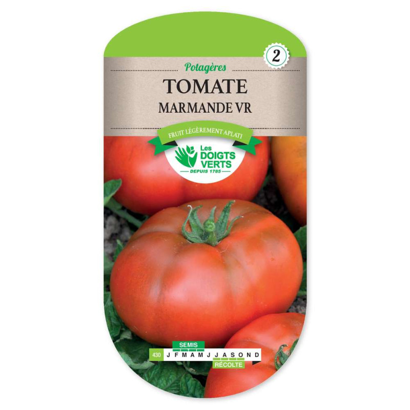 Tomate De Marmande Vr -graines de Les Doigts Verts - graines de Gironde à Bordeaux dans Graines de Tomate
