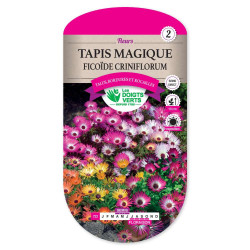 Tapis Magique Ficoide Criniflor -graines de Les Doigts Verts - graines de Gironde à Bordeaux dans Graines de fleurs en T