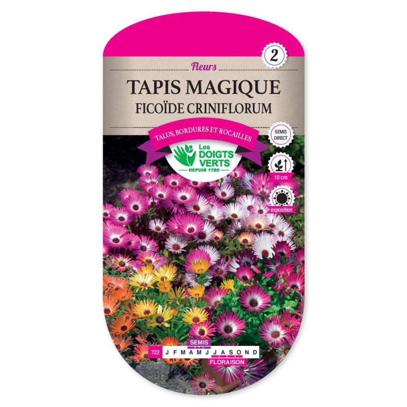 Tapis Magique Ficoide Criniflor -graines de Les Doigts Verts - graines de Gironde à Bordeaux dans Graines de fleurs en T