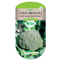 Chou Brocoli Vert Marathon Hyb.F1 -graines de Les Doigts Verts - graines de Gironde à Bordeaux dans Graines de Chou