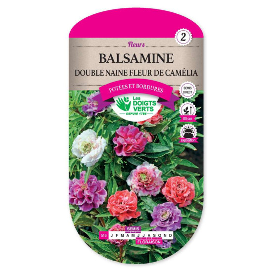 Balsamine Dble N. Fleur Camelia -graines de Les Doigts Verts - graines de Gironde à Bordeaux dans Graines de fleurs en B