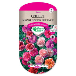 Graines D'Oeillet Des Fleuristes Triomphe Double Varié - Sachet De 0,5g (environ 230 Graines) - 4