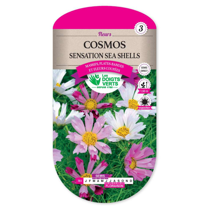 Cosmos Sea Shells -graines de Les Doigts Verts - graines de Gironde à Bordeaux dans Graines de fleurs en C