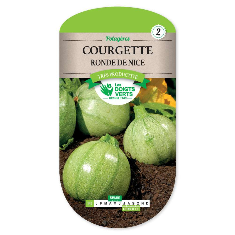 Courgette Ronde De Nice -graines de Les Doigts Verts - graines de Gironde à Bordeaux dans Graines de Courgette - Courge