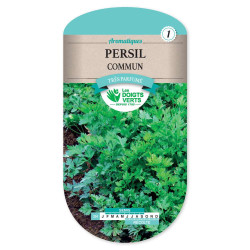 Persil Commun 2 -graines de Les Doigts Verts - graines de Gironde à Bordeaux dans Graines de Persil