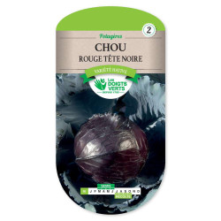 Chou Rouge Tete Noire 3 -graines de Les Doigts Verts - graines de Gironde à Bordeaux dans Graines de Chou
