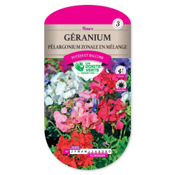 Geranium Pelargonium Zonale Mel. -graines de Les Doigts Verts - graines de Gironde à Bordeaux dans Graines de fleurs en G