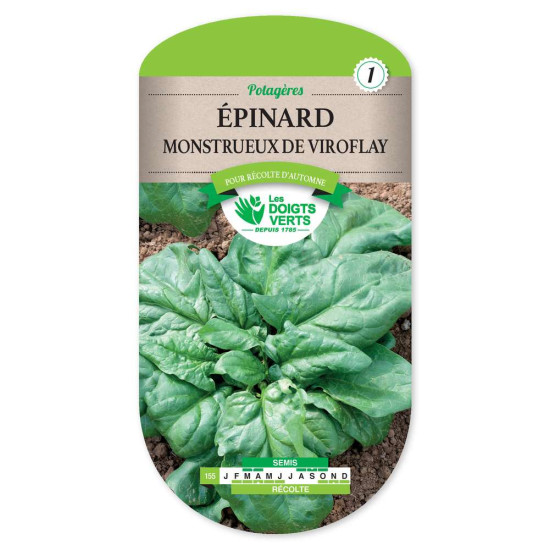 Epinard Monstrueux De Viroflay -graines de Les Doigts Verts - graines de Gironde à Bordeaux dans Graines de Epinard