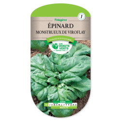 Epinard Monstrueux De Viroflay -graines de Les Doigts Verts - graines de Gironde à Bordeaux dans Graines de Epinard