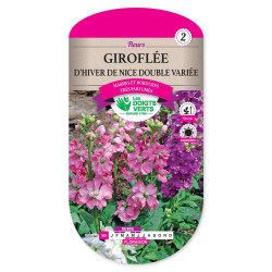 Giroflee Hiver Nice Dble Var. -graines de Les Doigts Verts - graines de Gironde à Bordeaux dans Graines de fleurs en G