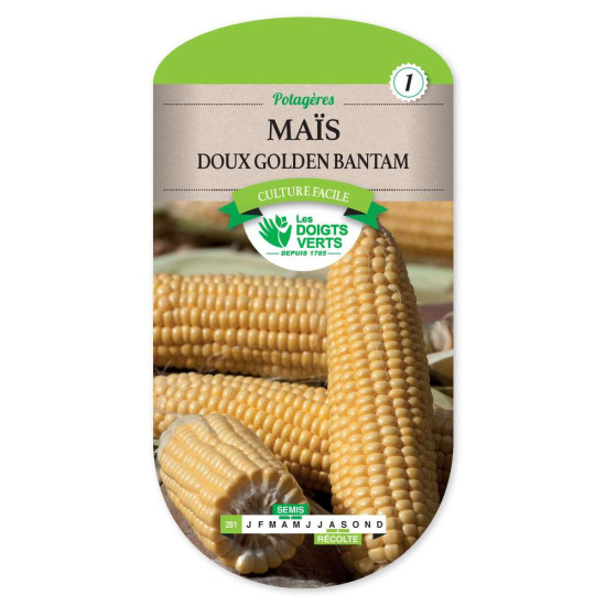 Mais Doux Sucre -graines de Les Doigts Verts - graines de Gironde à Bordeaux dans Graines de Maïs