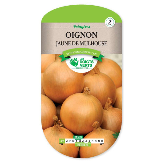 Oignon Jaune Mulhouse (Type Auxonne -graines de Les Doigts Verts - graines de Gironde à Bordeaux dans Oignon - Ail - echalote...