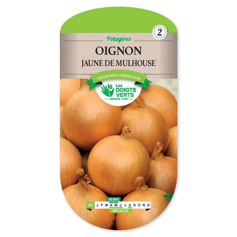 Oignon Jaune Mulhouse (Type Auxonne -graines de Les Doigts Verts - graines de Gironde à Bordeaux dans Oignon - Ail - echalote...