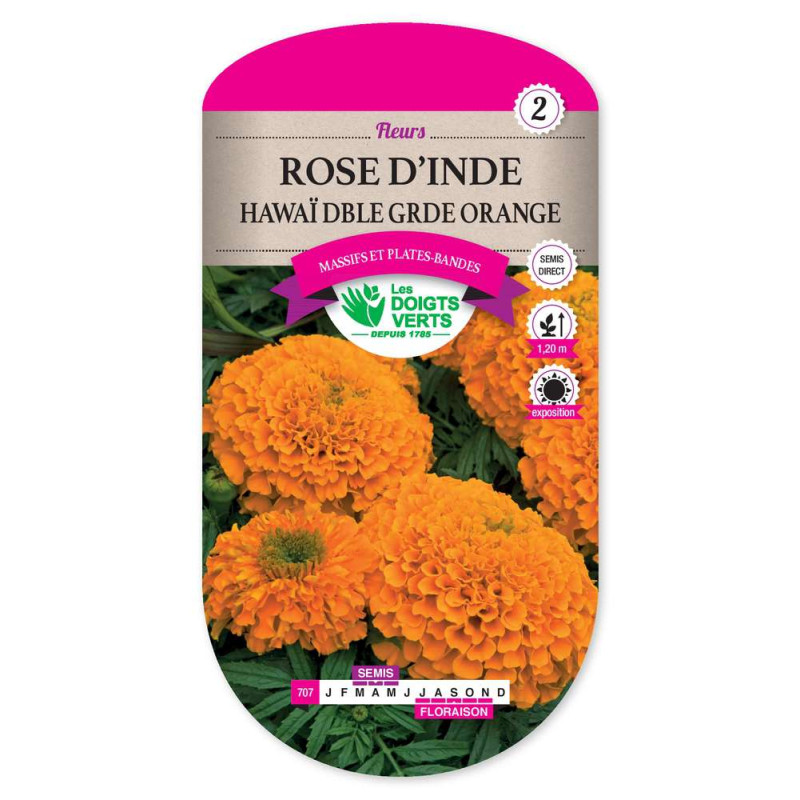 Rose D'Inde Dble Gde Orange-Hawai -graines de Les Doigts Verts - graines de Gironde à Bordeaux dans Graines de fleurs en R