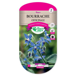 Bourrache Officinale -graines de Les Doigts Verts - graines de Gironde à Bordeaux dans Graines de fleurs en B