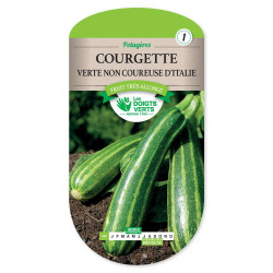 Courgette Verte Non Cour.Italie -graines de Les Doigts Verts - graines de Gironde à Bordeaux dans Graines de Courgette - Courge