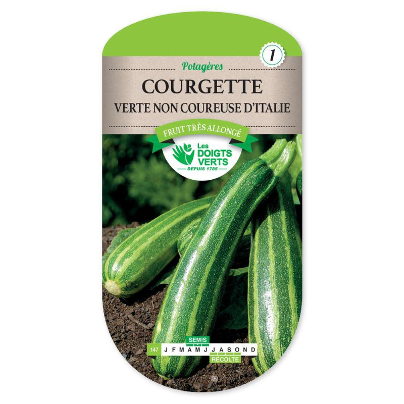 Courgette Verte Non Cour.Italie -graines de Les Doigts Verts - graines de Gironde à Bordeaux dans Graines de Courgette - Courge