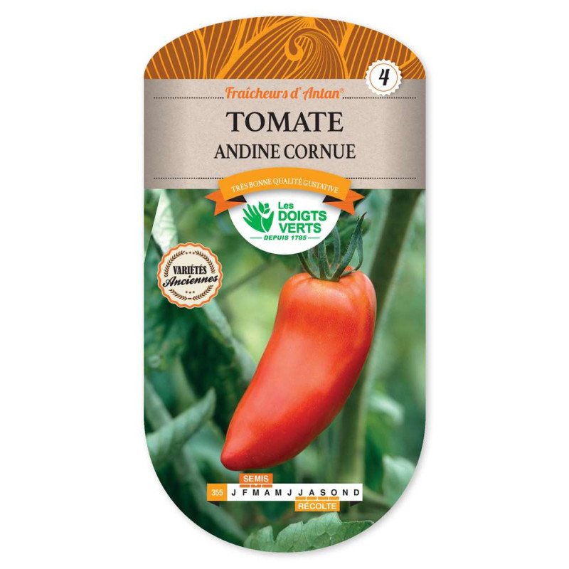 Tomate Cornue Des Andes -graines de Les Doigts Verts - graines de Gironde à Bordeaux dans Graines de Tomate