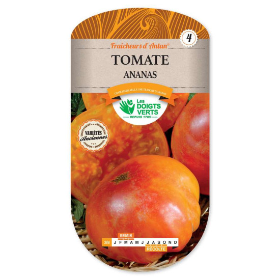 Tomate Ananas -graines de Les Doigts Verts - graines de Gironde à Bordeaux dans Graines de Tomate
