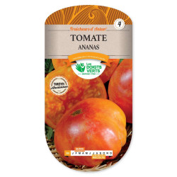 Tomate Ananas -graines de Les Doigts Verts - graines de Gironde à Bordeaux dans Graines de Tomate