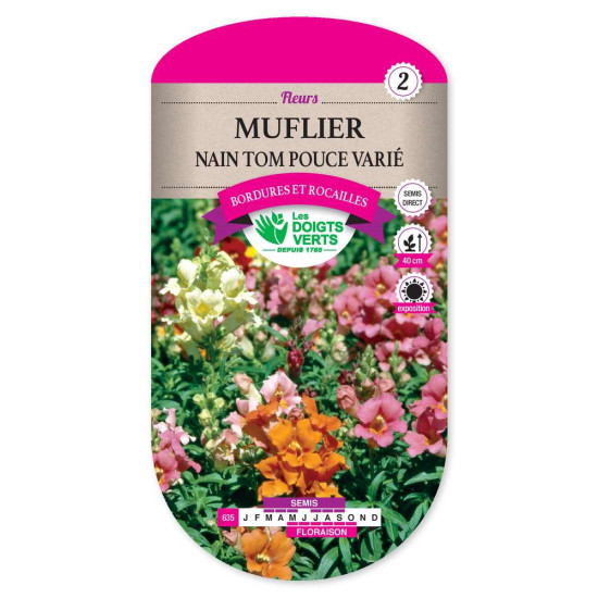 Muflier Nain Tom Pouce Varie -graines de Les Doigts Verts - graines de Gironde à Bordeaux dans Graines de fleurs en M
