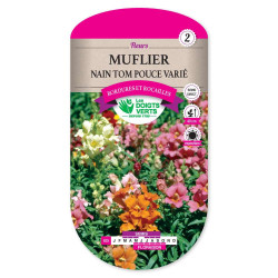 Muflier Nain Tom Pouce Varie -graines de Les Doigts Verts - graines de Gironde à Bordeaux dans Graines de fleurs en M
