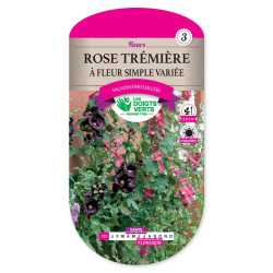 Rose Tremiere Fleur Simple Variee -graines de Les Doigts Verts - graines de Gironde à Bordeaux dans Graines de fleurs en R