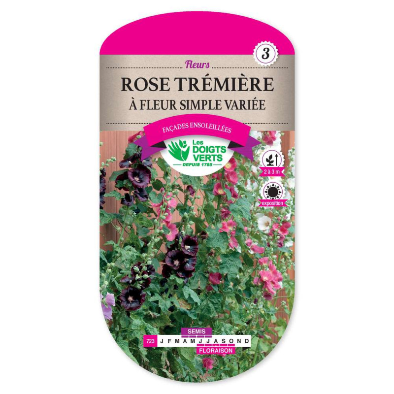 Rose Tremiere Fleur Simple Variee -graines de Les Doigts Verts - graines de Gironde à Bordeaux dans Graines de fleurs en R