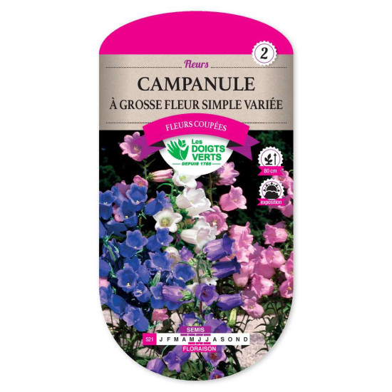 Campanule Grosse Fleur Spl Var. -graines de Les Doigts Verts - graines de Gironde à Bordeaux dans Graines de fleurs en C