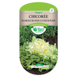 Chicoree Scarole Blonde A Coeur Ple -graines de Les Doigts Verts - graines de Gironde à Bordeaux dans Graines de Chicoree