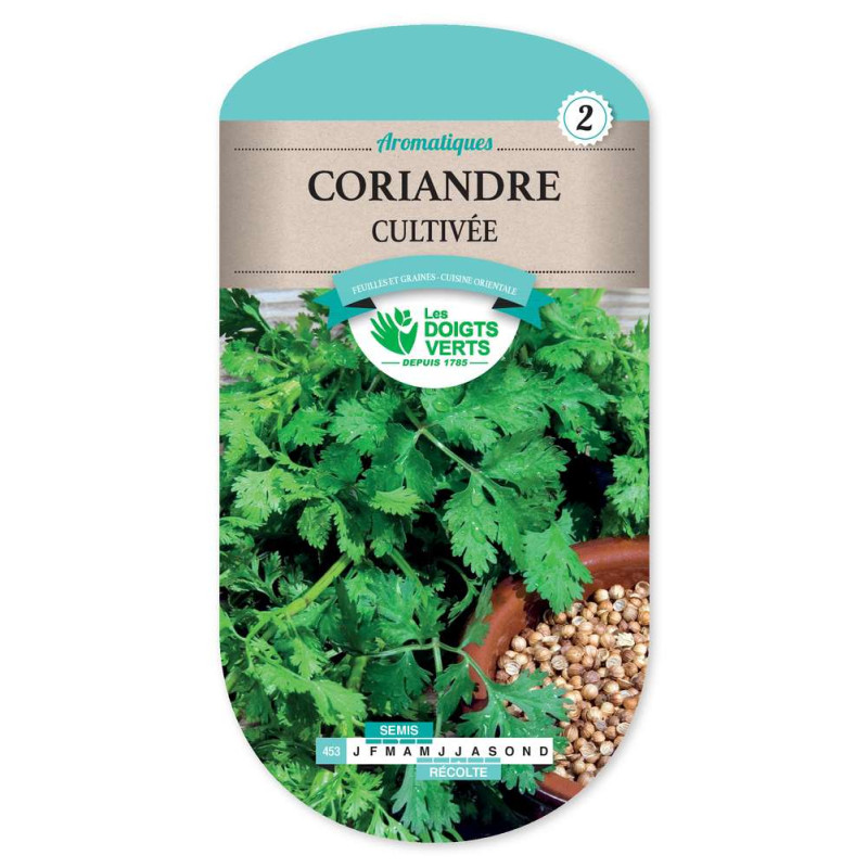 Coriandre  Cultivee -graines de Les Doigts Verts - graines de Gironde à Bordeaux dans Graines de Coriandre