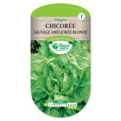 Chicoree Sauv.Amel Blonde -graines de Les Doigts Verts - graines de Gironde à Bordeaux dans Graines de Chicoree