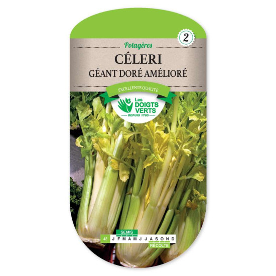 Celeri Geant Dore Ameliore -graines de Les Doigts Verts - graines de Gironde à Bordeaux dans Graines de Celeri