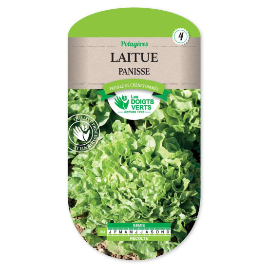 Laitue Panisse (Feuille De Chene Po -graines de Les Doigts Verts - graines de Gironde à Bordeaux dans Graines de Salade - Laitue