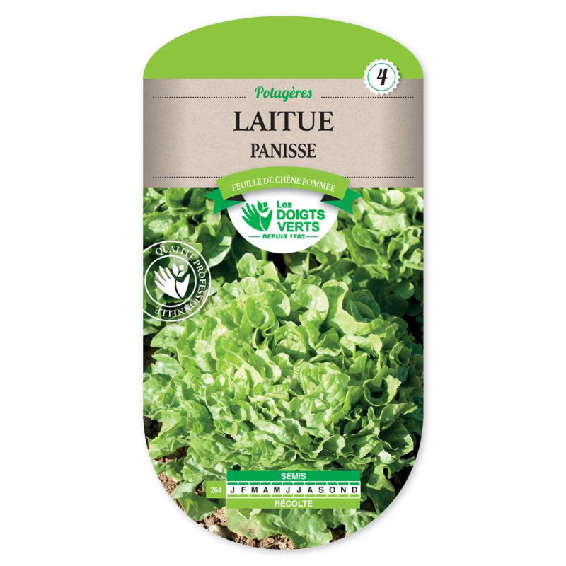 Laitue Panisse (Feuille De Chene Po -graines de Les Doigts Verts - graines de Gironde à Bordeaux dans Graines de Salade - Laitue