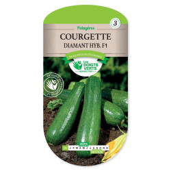 Courgette Diamant Hybride F1 -graines de Les Doigts Verts - graines de Gironde à Bordeaux dans Graines de Courgette - Courge