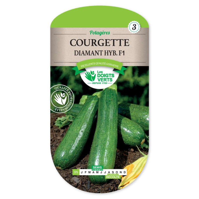 Courgette Diamant Hybride F1 -graines de Les Doigts Verts - graines de Gironde à Bordeaux dans Graines de Courgette - Courge