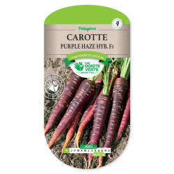 Carotte Purple Haze Hyb.F1 -graines de Les Doigts Verts - graines de Gironde à Bordeaux dans Graines de Carotte