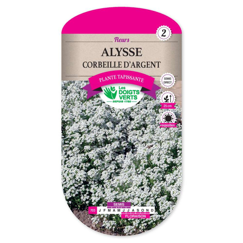 Alysse Corbeille D'Argent -graines de Les Doigts Verts - graines de Gironde à Bordeaux dans Graines de fleurs en A