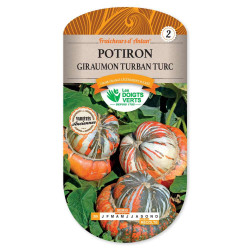 Potiron Giraumon Turban Turc -graines de Les Doigts Verts - graines de Gironde à Bordeaux dans Graines de Potiron - Citrouille