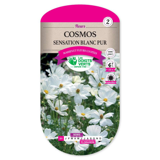Cosmos Sensation Blanc Pur -graines de Les Doigts Verts - graines de Gironde à Bordeaux dans Graines de fleurs en C