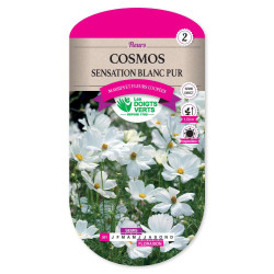Cosmos Sensation Blanc Pur -graines de Les Doigts Verts - graines de Gironde à Bordeaux dans Graines de fleurs en C