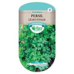 Persil Geant D'Italie -graines de Les Doigts Verts - graines de Gironde à Bordeaux dans Graines de Persil