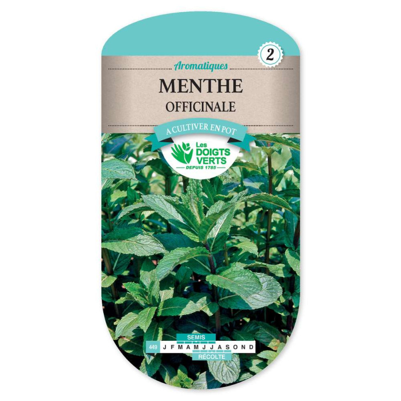 Menthe Officinale -graines de Les Doigts Verts - graines de Gironde à Bordeaux dans Graines de Menthe