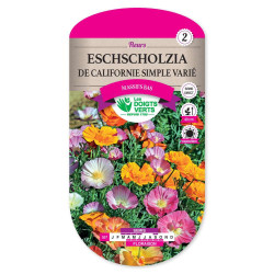 Eschscholtzia Californie Simple -graines de Les Doigts Verts - graines de Gironde à Bordeaux dans Graines de fleurs en E