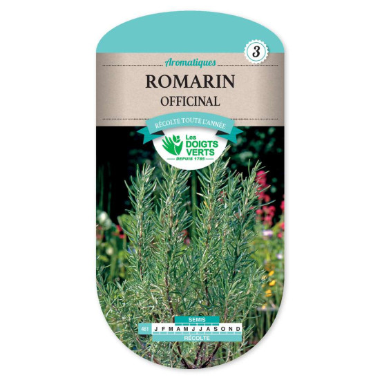 Romarin Officinal -graines de Les Doigts Verts - graines de Gironde à Bordeaux dans Graines de Romarin