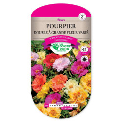 Pourpier A Gde Fleur Double Varie -graines de Les Doigts Verts - graines de Gironde à Bordeaux dans Graines de fleurs en P
