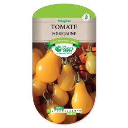 Tomate Poire Jaune Yellow Pearsh -graines de Les Doigts Verts - graines de Gironde à Bordeaux dans Graines de Tomate