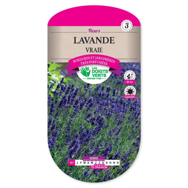 Lavande Vraie -graines de Les Doigts Verts - graines de Gironde à Bordeaux dans Graines de fleurs en L