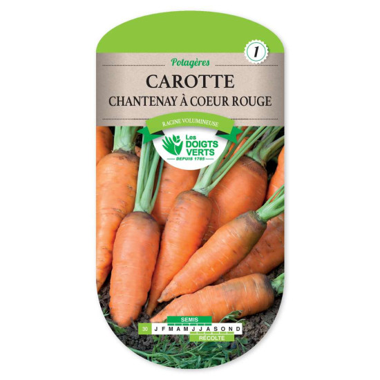 Carotte Chantenay A Coeur Rge 2 -graines de Les Doigts Verts - graines de Gironde à Bordeaux dans Graines de Carotte